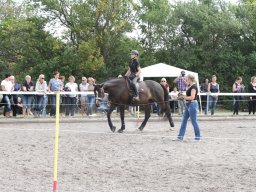 IMG_1373_web